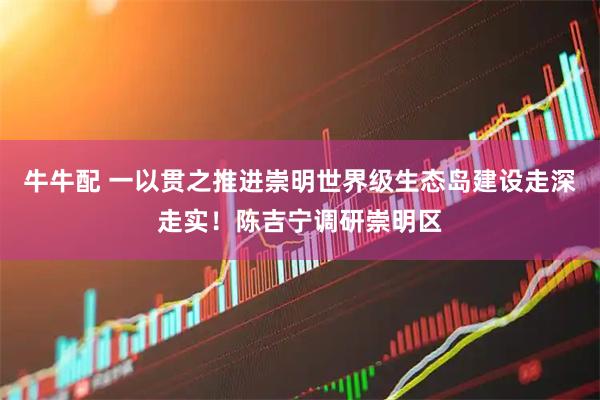 牛牛配 一以贯之推进崇明世界级生态岛建设走深走实！陈吉宁调研崇明区