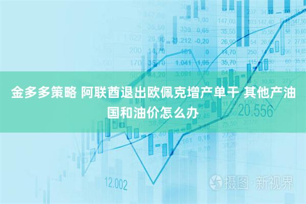 金多多策略 阿联酋退出欧佩克增产单干 其他产油国和油价怎么办
