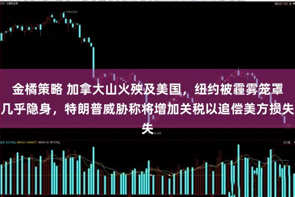 金橘策略 加拿大山火殃及美国，纽约被霾雾笼罩几乎隐身，特朗普威胁称将增加关税以追偿美方损失